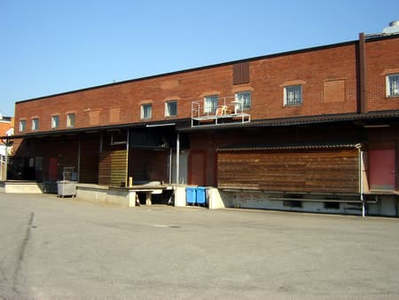 DSC01553.JPG