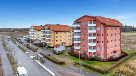 DJI_20241126183131_0048_D.JPG