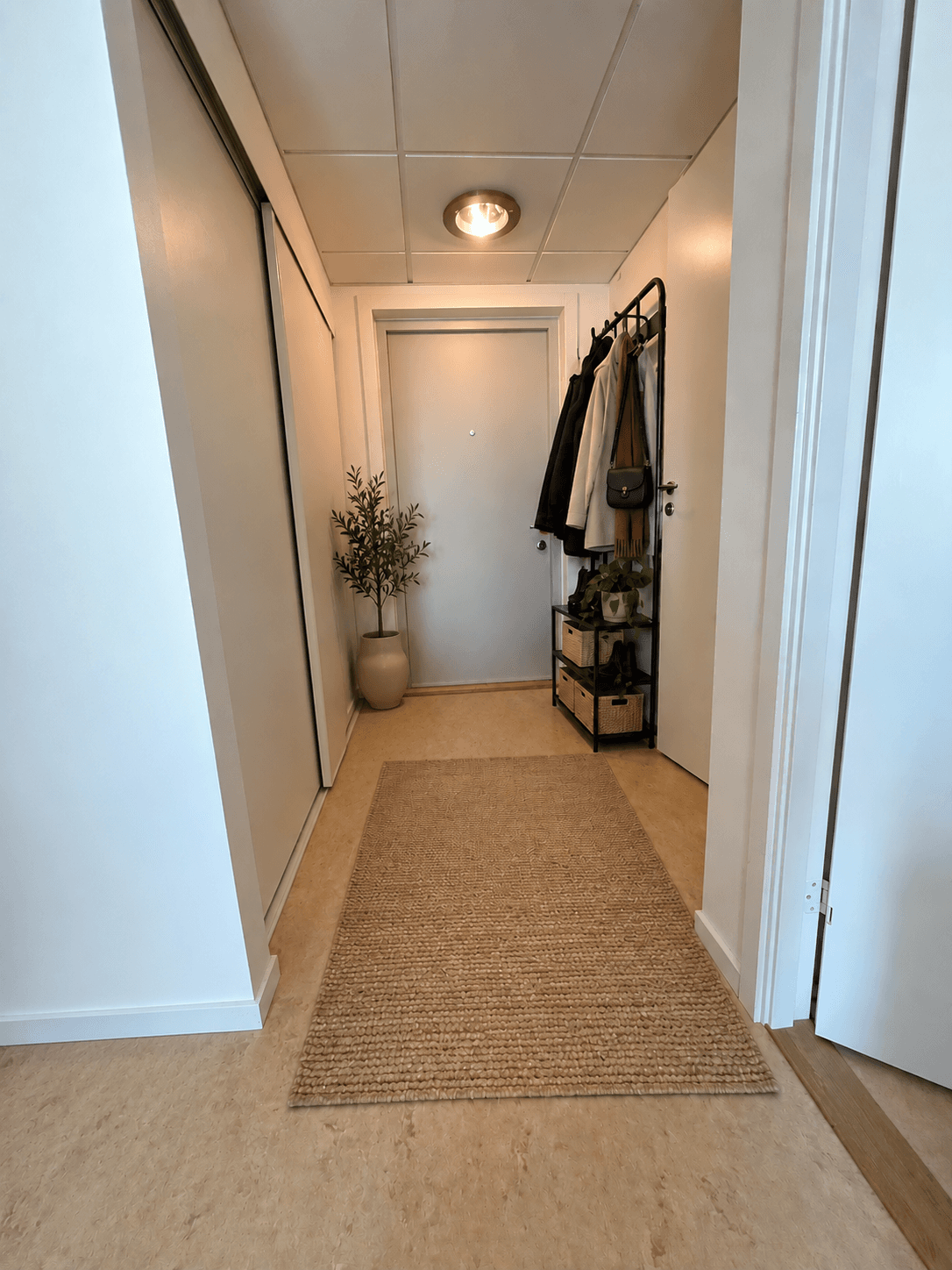 Minimalistisk hall med växter.png