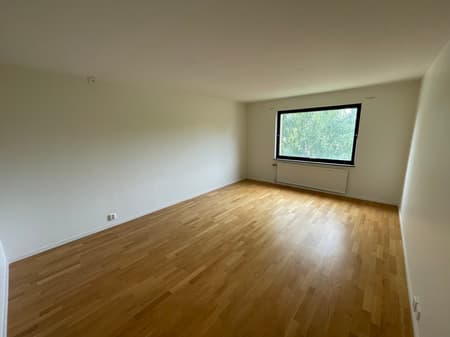 bild -20260813-090640-ca6a00ae_3016.jpeg