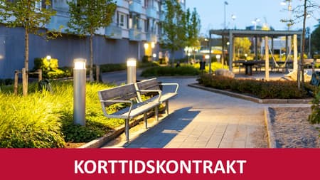 Bild Smöret_korttidskontrakt.jpg