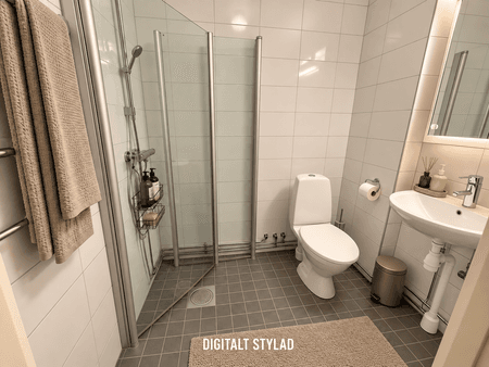ds80008-1016 (5).png