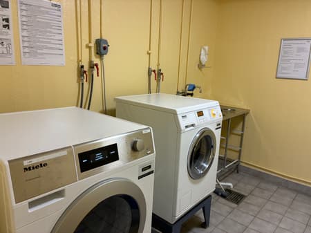 Image (13).jpg