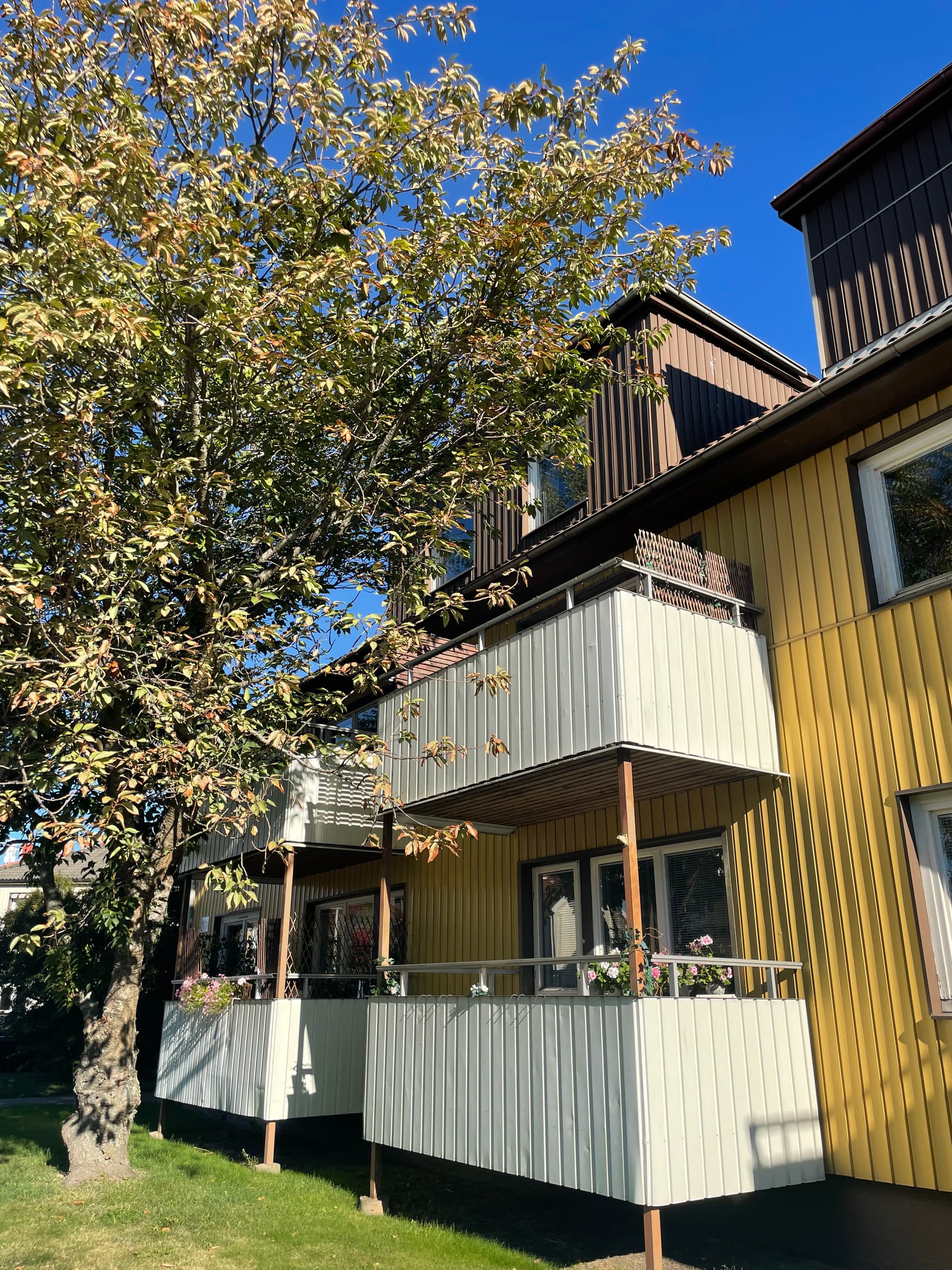 bild -20260924-083047-4c1aa980_8084.jpeg