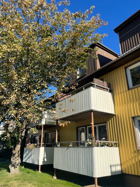 bild -20260924-083047-4c1aa980_8084.jpeg