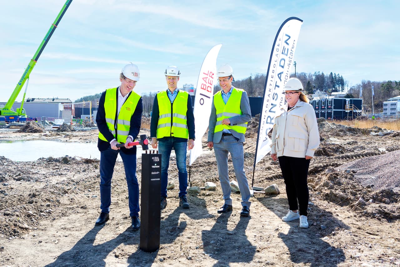 Erik Selin, Staffan Waldenström, Jacob Torell och Carina Kloek-Malmsten