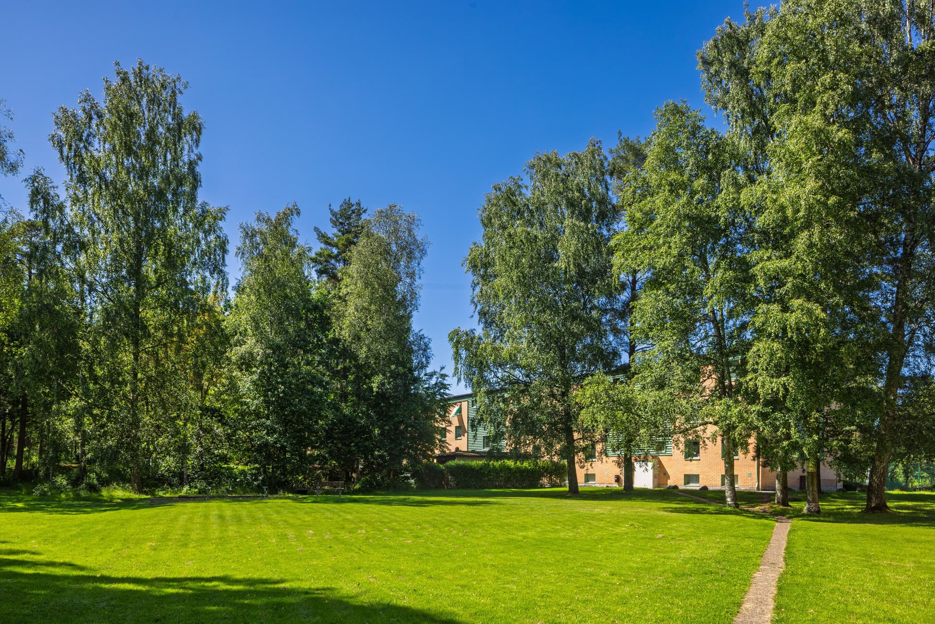 Sommar gångbana träd baksida, juni 2026.jpg
