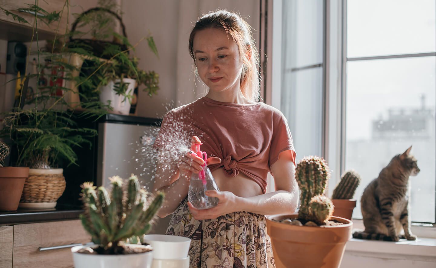 Ung kvinna i sin bostad planterar om en kaktus